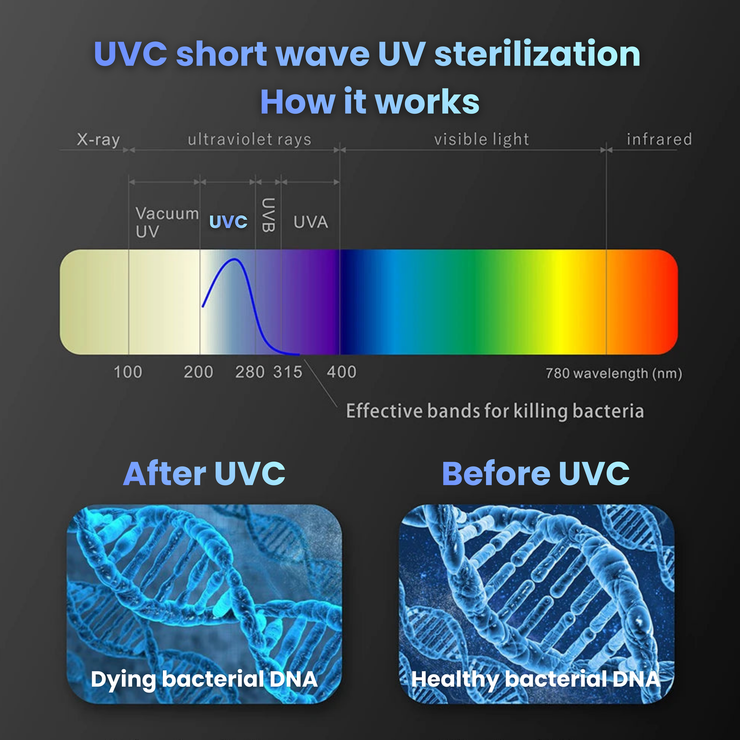 Smart UVC Toothbrush Sterilizer
